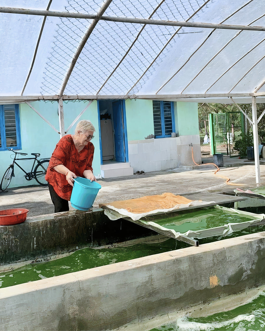 La spiruline : un trésor naturel pour ton bien-être