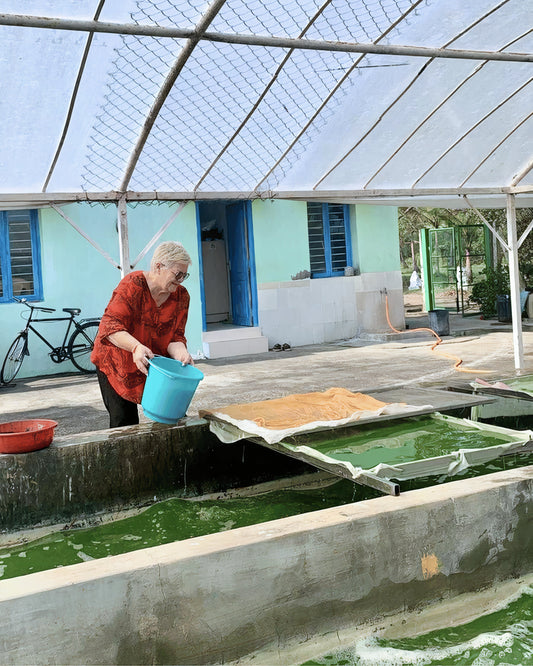 La spiruline : un trésor naturel pour ton bien-être