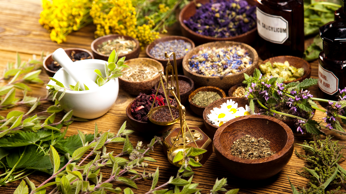 Le pouvoir des plantes médicinales