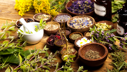 Le pouvoir des plantes médicinales