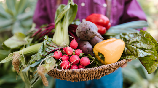 Pourquoi bien s’alimenter n’est plus suffisant aujourd’hui