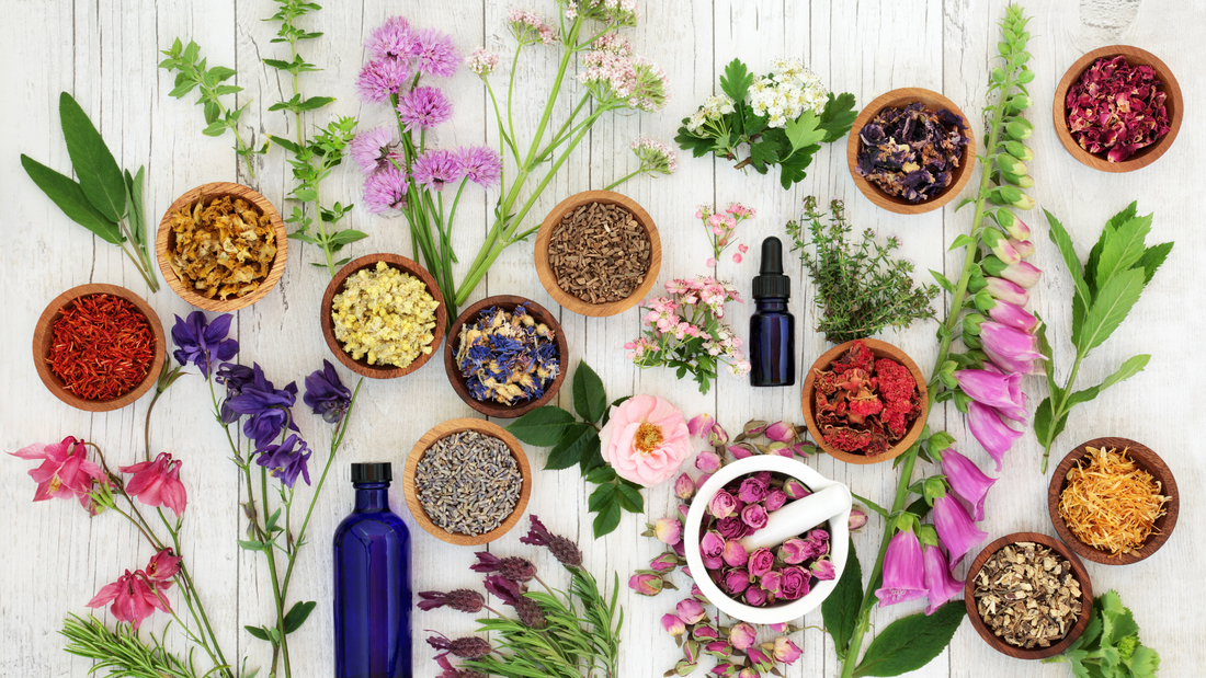 Phytothérapie : soigner son corps naturellement, est-ce vraiment efficace ?